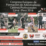 CURSO AGOSTO 2018